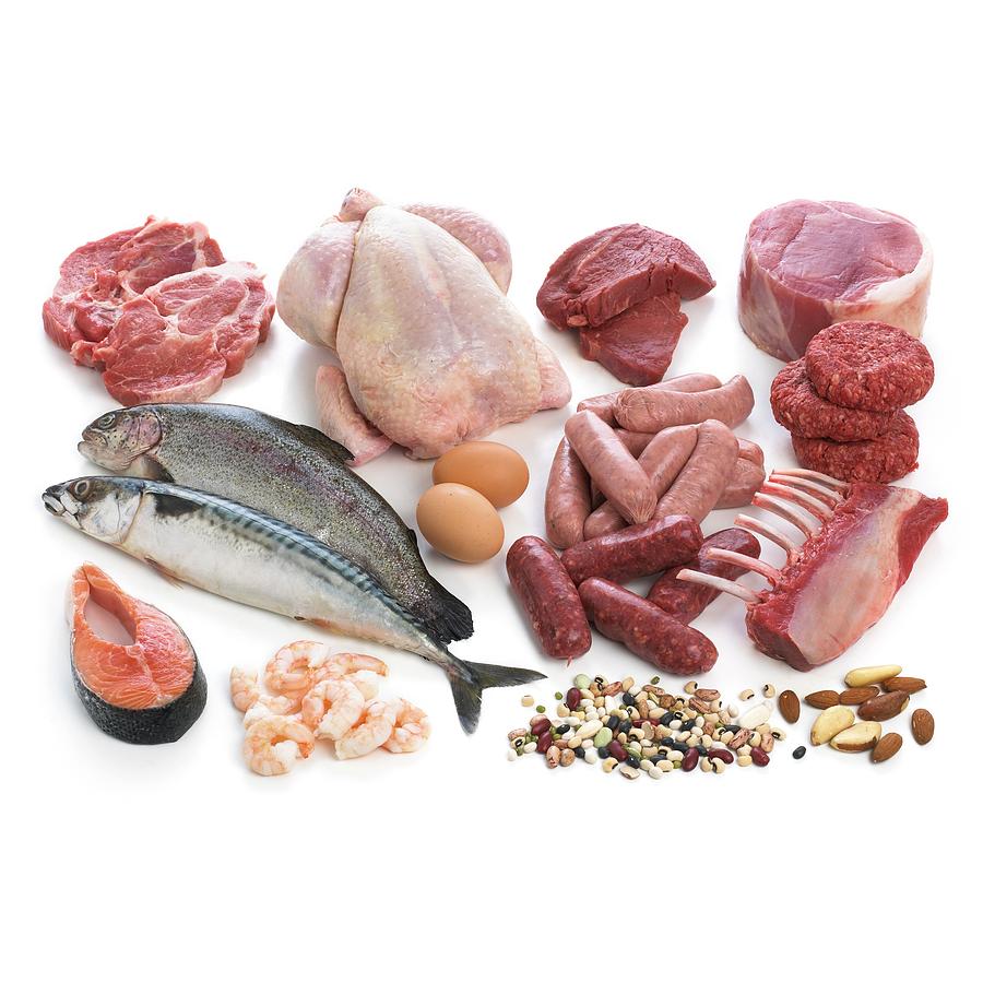 Meat and fish