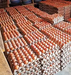 Create of eggs