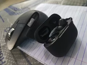 Mouse and Earbud