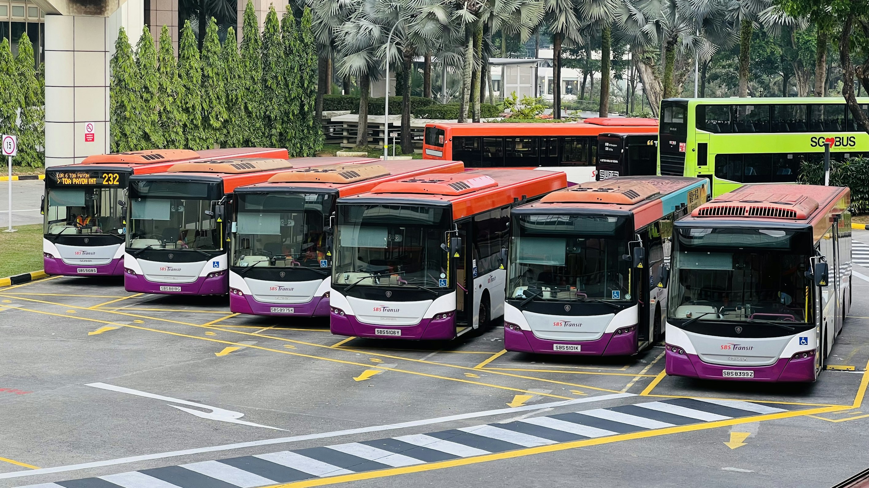 Buses & Microbuses